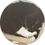 FAQ 1 H P. Avatar
